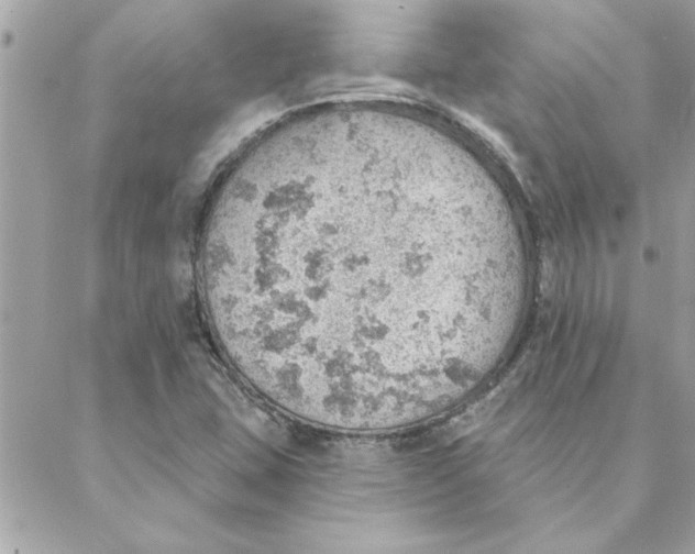 X0000088161407200706051040