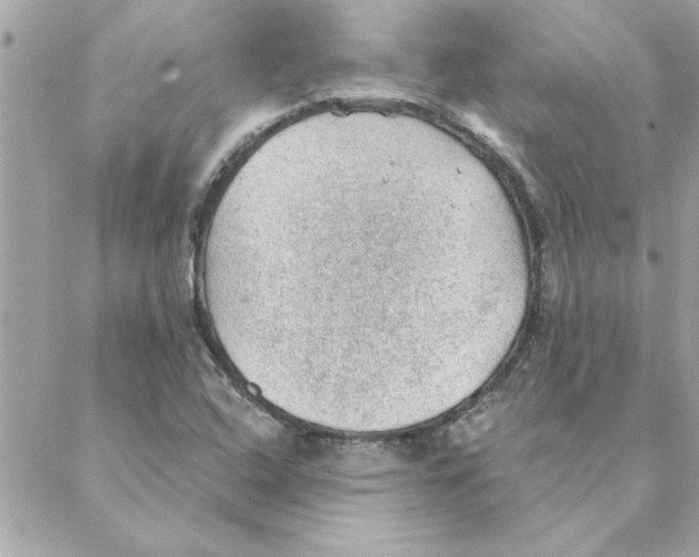 X0000088161408200706051040