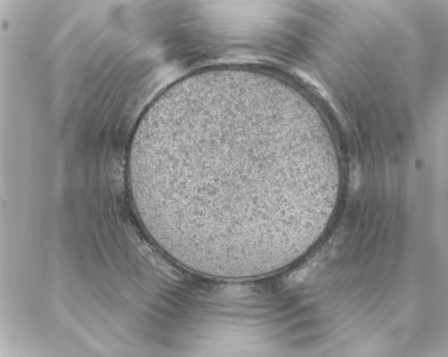 X0000088161409200706051040