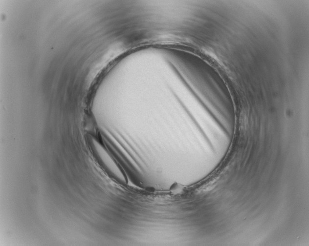 X0000088161410200706051040