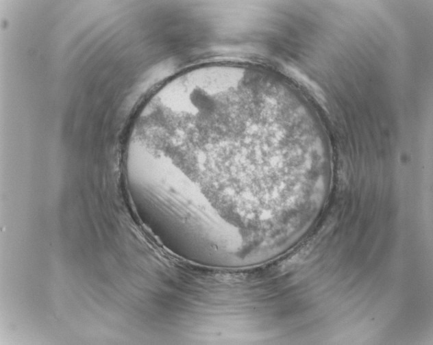 X0000088161411200706051040