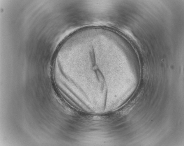 X0000088161412200706051040