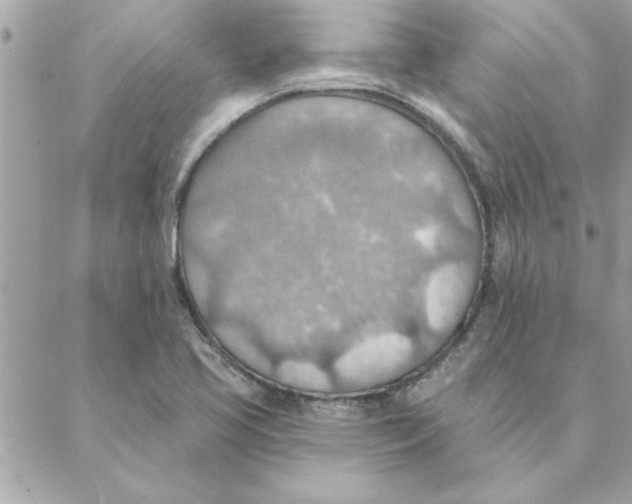 X0000088161413200706051040