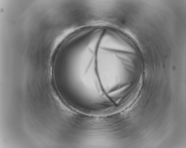 X0000088161414200706051040