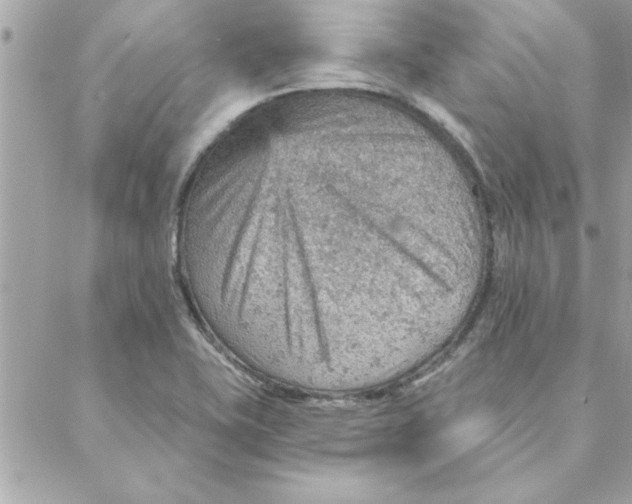 X0000088161415200706051040