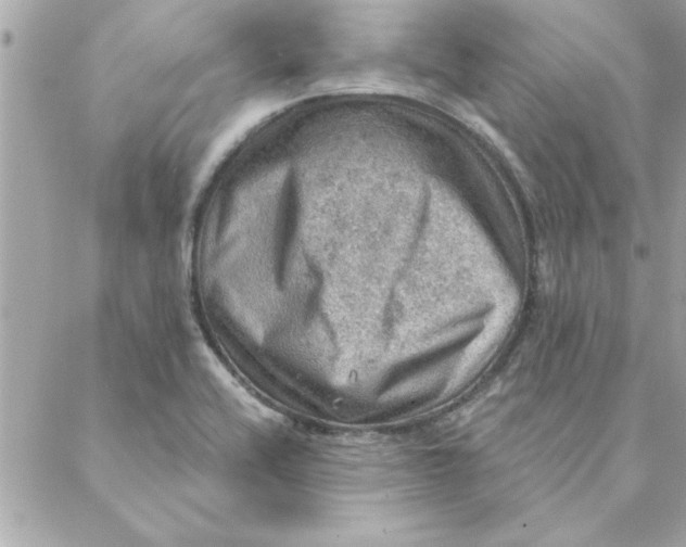 X0000088161416200706051040