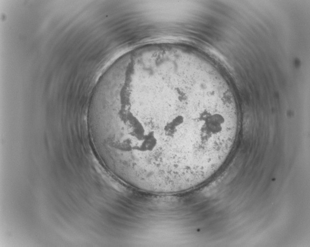 X0000088161417200706051040