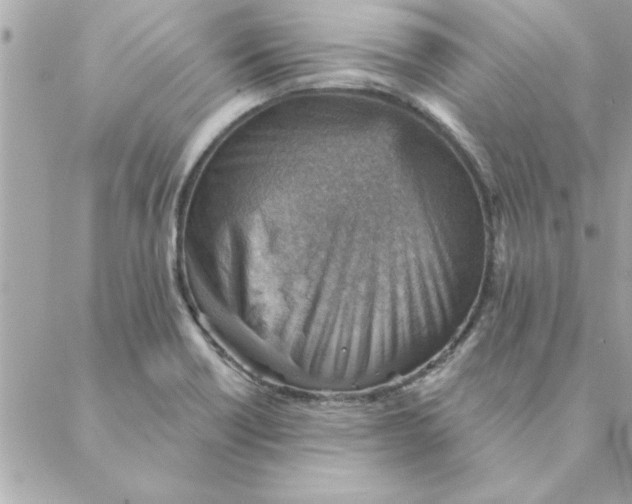 X0000088161418200706051040