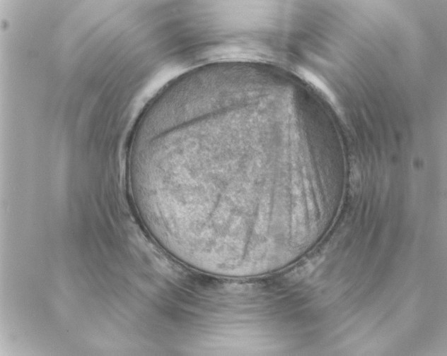 X0000088161419200706051040