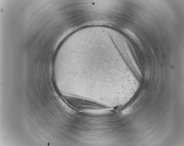 X0000088161420200706051040