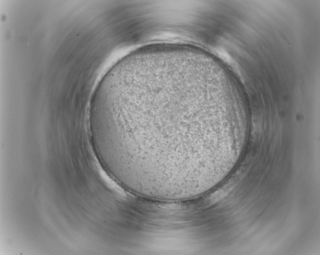 X0000088161421200706051040