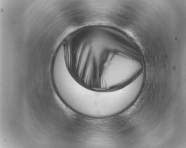 X0000088161422200706051040