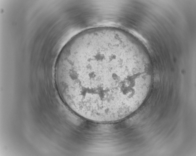 X0000088161423200706051040