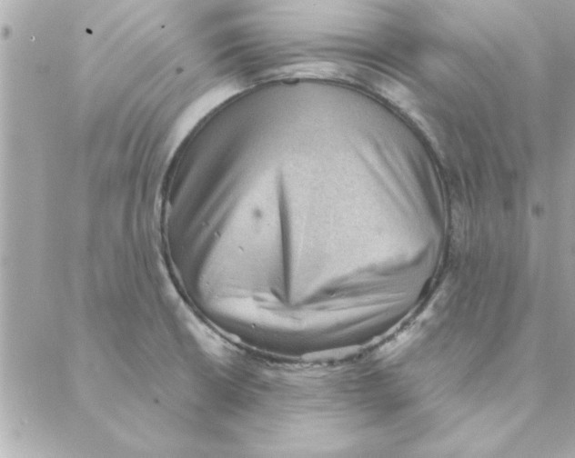 X0000088161426200706051040