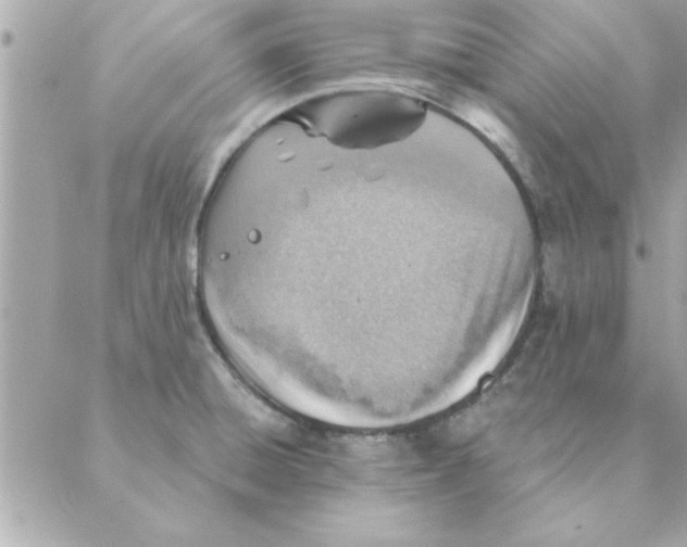 X0000088161428200706051040