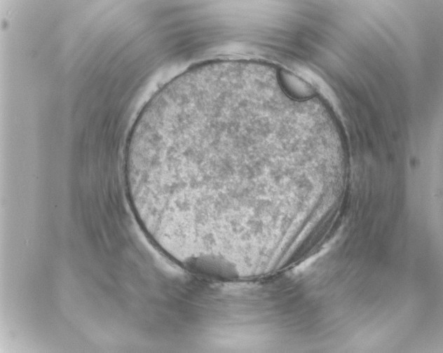 X0000088161429200706051040