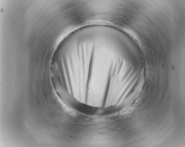 X0000088161430200706051040