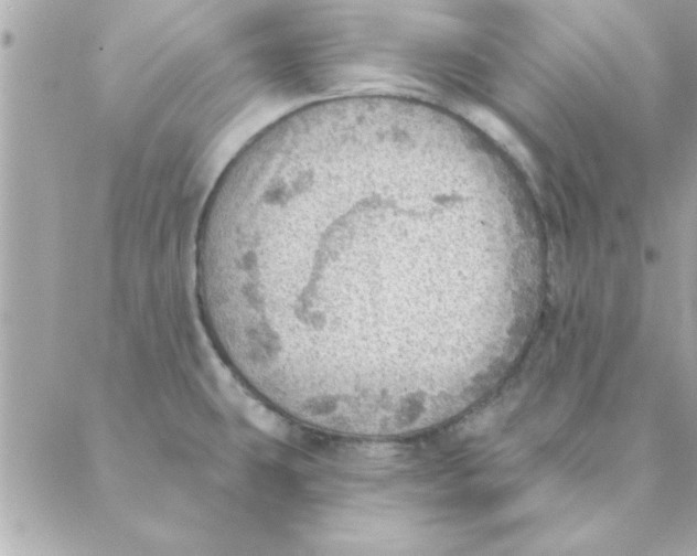 X0000088161431200706051040