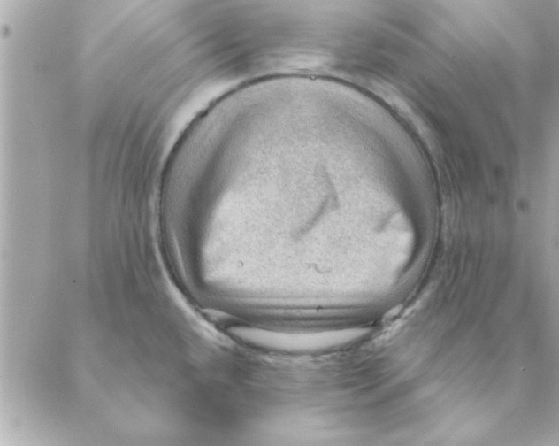 X0000088161432200706051040