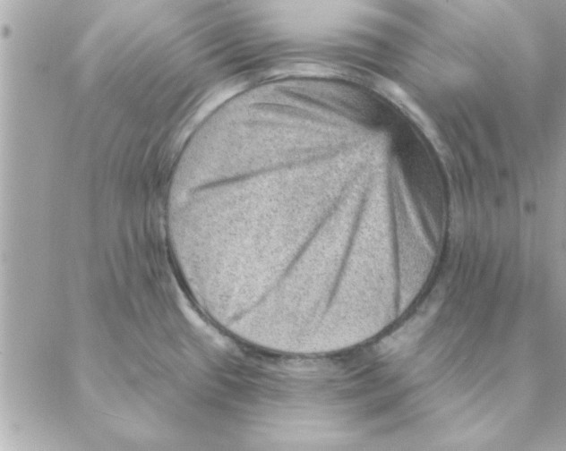 X0000088161433200706051040