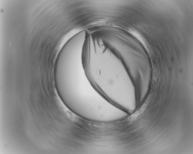 X0000088161434200706051040