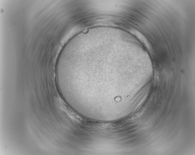 X0000088161435200706051040