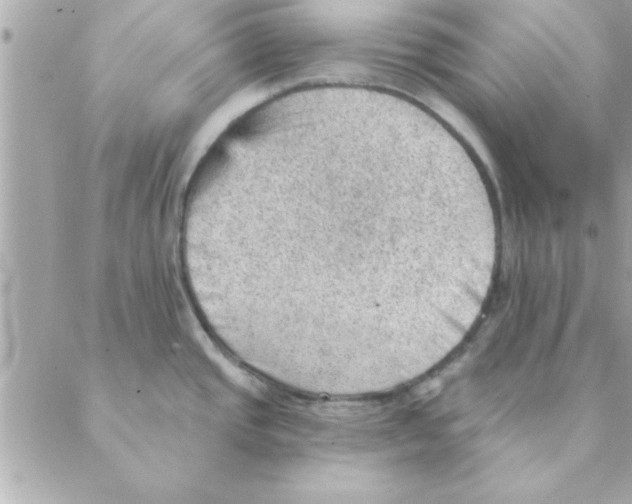 X0000088161437200706051040