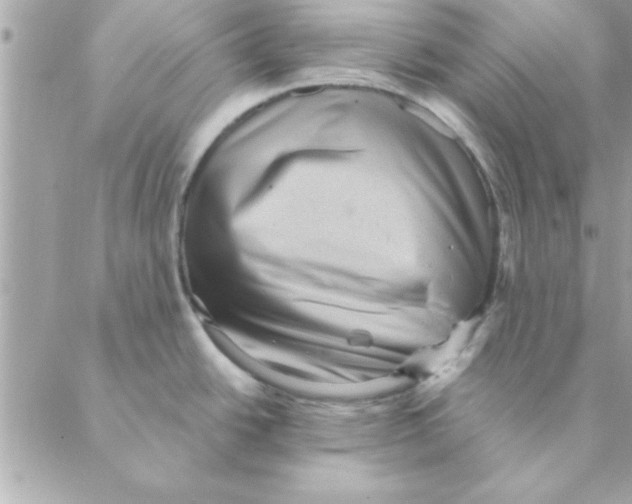 X0000088161438200706051040