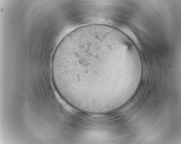 X0000088161439200706051040