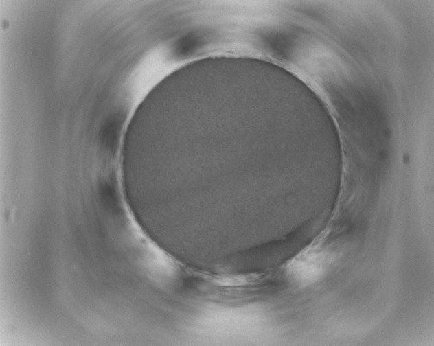 X0000088161440200706051040