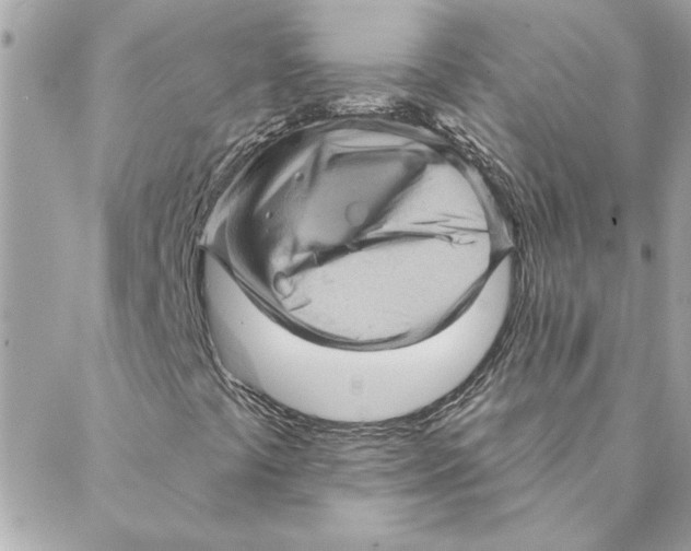 X0000088161441200706051039