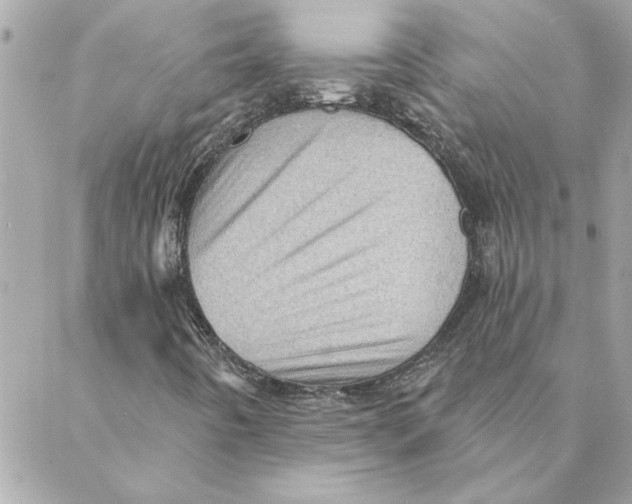 X0000088161442200706051039