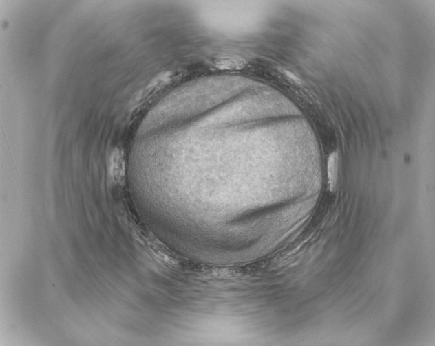 X0000088161443200706051039