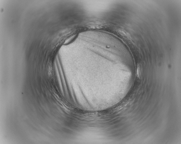 X0000088161444200706051039