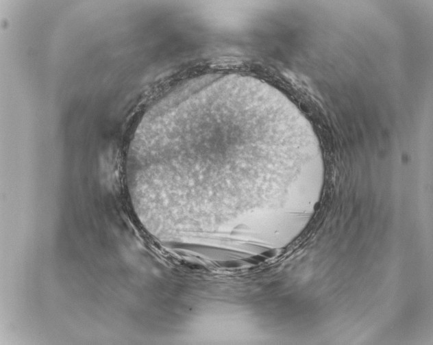 X0000088161445200706051039