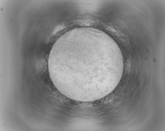 X0000088161446200706051039