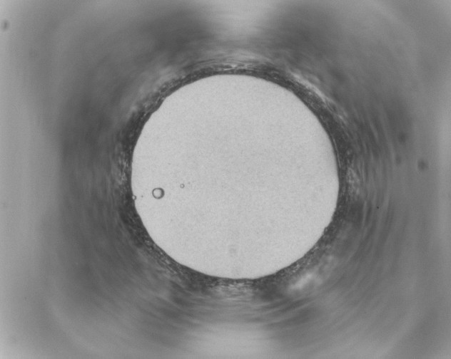 X0000088161447200706051039