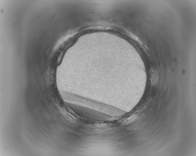 X0000088161448200706051039