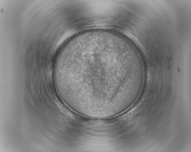 X0000088161450200706051039