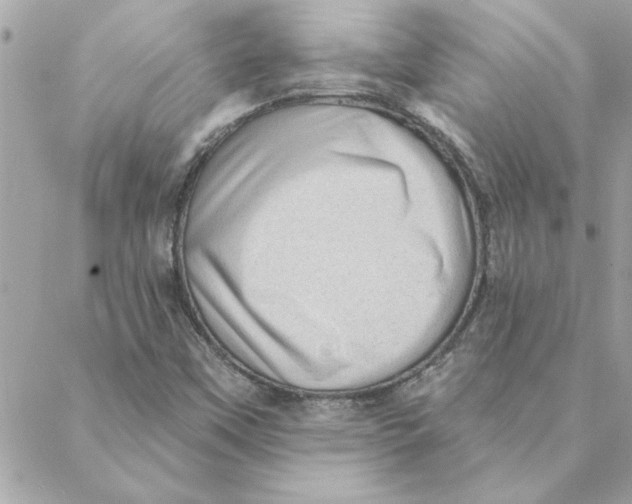 X0000088161451200706051039