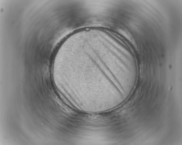 X0000088161452200706051039