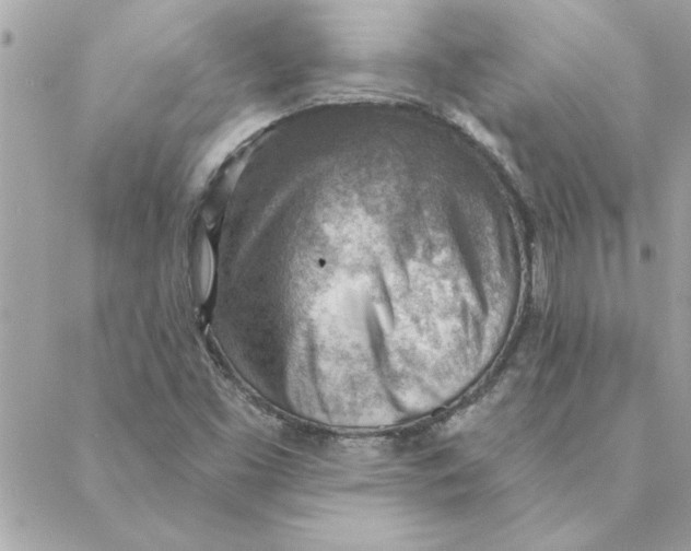 X0000088161453200706051039