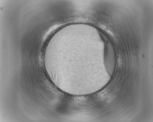 X0000088161454200706051039