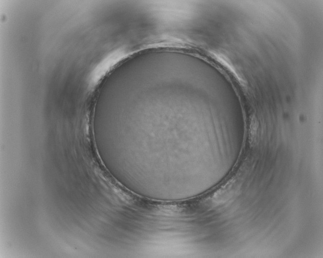 X0000088161455200706051039