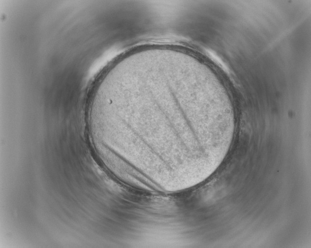 X0000088161456200706051039