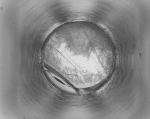 X0000088161457200706051039