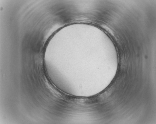 X0000088161458200706051039