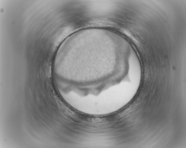 X0000088161459200706051039