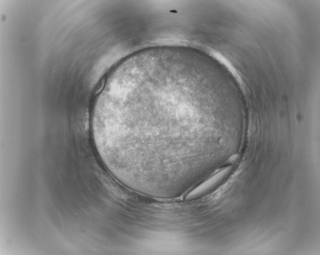 X0000088161461200706051039