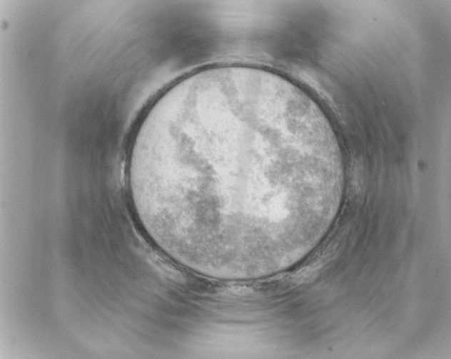 X0000088161462200706051039